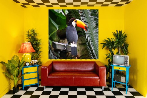 pvc wanddoek tropische vogel